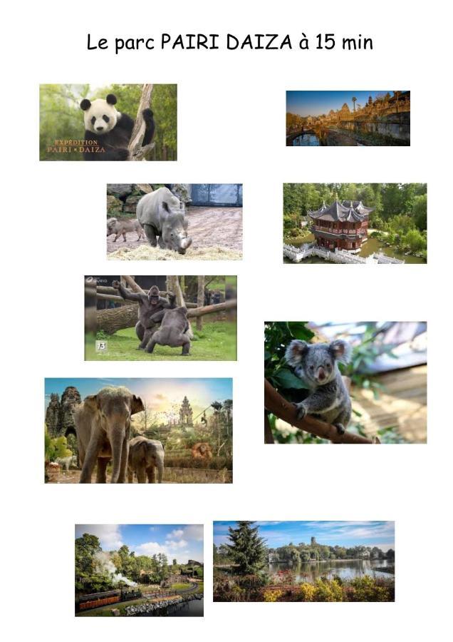 Chambres D'Hote "L Ecureuil" Proche De Mons, Pairi Daiza, A Cote De Spark'Oh Frameries ภายนอก รูปภาพ